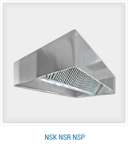 NSK-NSR-NSP